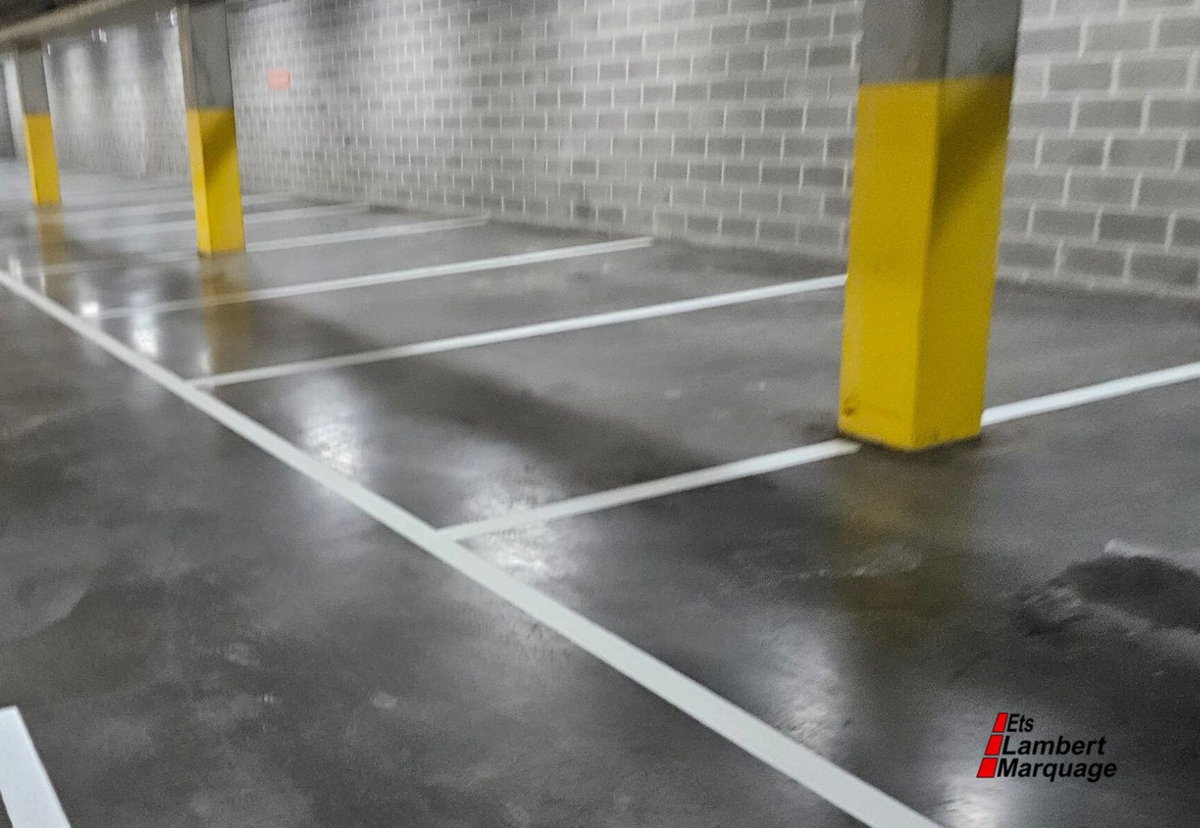 Marquage parking/hall – PMR & guidage